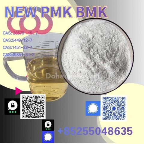 PMK Glycidate Powder CAS 28578-16-7 | High Grade Chemical Supplie