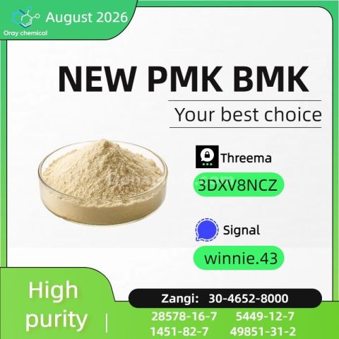 CAS 5449-12-7 BMK Glycidic Acid Sodium Salt Technical Information
