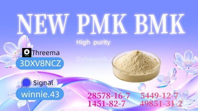 CAS 5449-12-7 BMK Glycidic Acid Sodium Salt Technical Guide