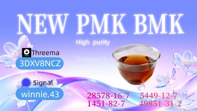 PMK Oil 28578-16-7 Professional Chemical Manufacturer