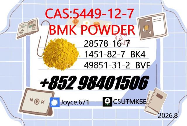 Certificated BMK 5449-12-7 Sodium Salt Factory Supply
