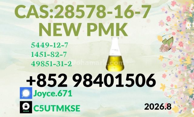 PMK Oil cas 285787-16-7 Manufacture Wholesale