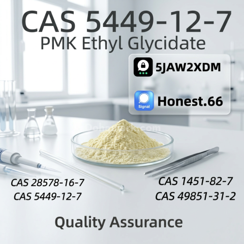 5449-12-7 | BMK Glycidic Acid Sodium Salt Powder | Factory Supply