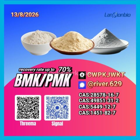 لشراء المواد الكيميائية جديد PM.K 28578-16-7/ BM.K C.AS:5449-12-7