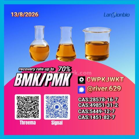 New PM.K 28578-16-7/ BM.K C.AS:5449-12-7/ high-volume chemical pr
