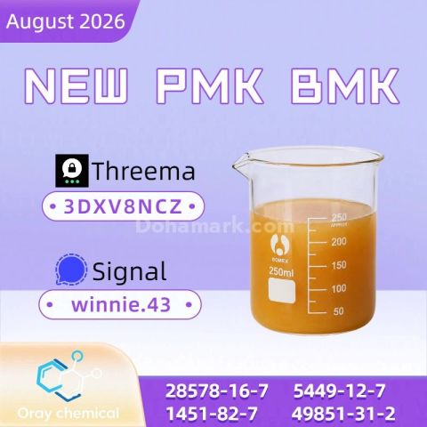 PMK Oil CAS 28578-16-7 Chemical Quality Reference