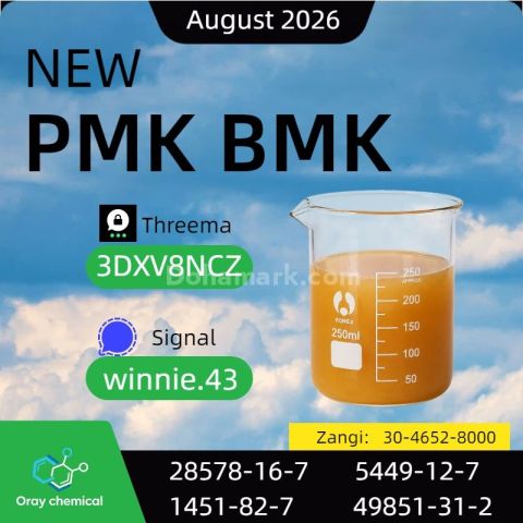 PMK CAS 28578-16-7 Premium Chemical Product Information