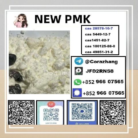 PMK powder oil CAS 28578-16-7 Glycidate Powder stable Supplier