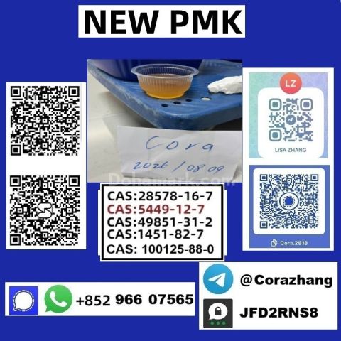 BMK powder 5449-12-7 Glycidic Acid (sodium salt) stable supply