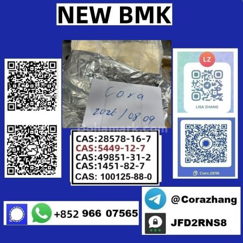 BMK powder 5449-12-7 Glycidic Acid (sodium salt) stable supply