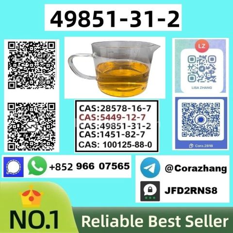 BMK powder cas5449-12-7 Glycidic Acid (sodium salt) stable supply
