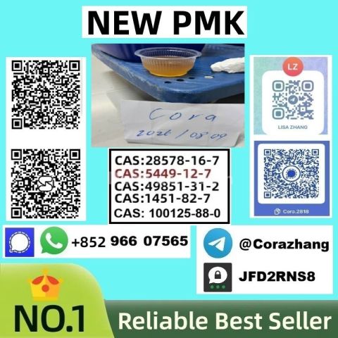 BMK powder cas5449-12-7 Glycidic Acid (sodium salt) stable supply