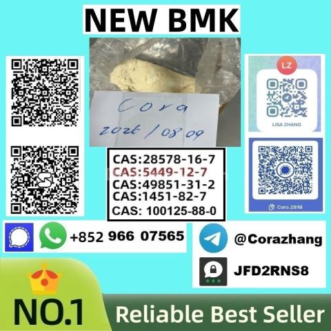 BMK powder cas5449-12-7 Glycidic Acid (sodium salt) stable supply