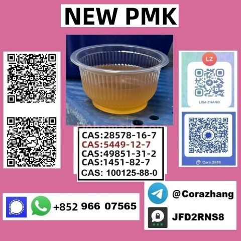 BMK powder cas5449-12-7 Glycidic Acid (sodium salt) stable supply