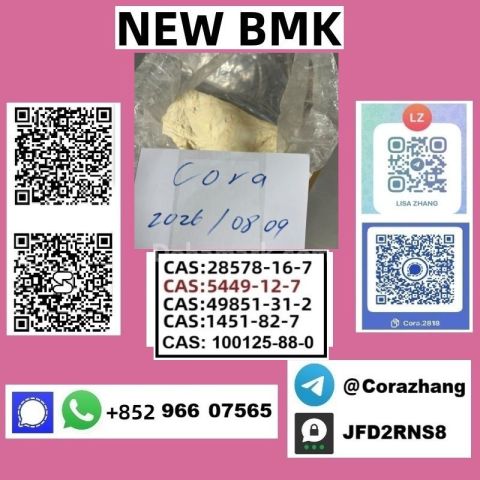 BMK powder cas5449-12-7 Glycidic Acid (sodium salt) stable supply