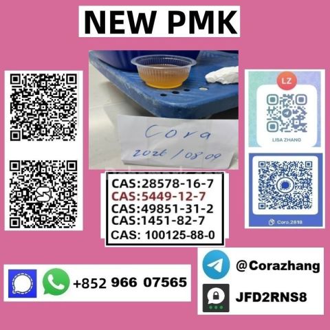 BMK powder cas5449-12-7 Glycidic Acid (sodium salt) stable supply