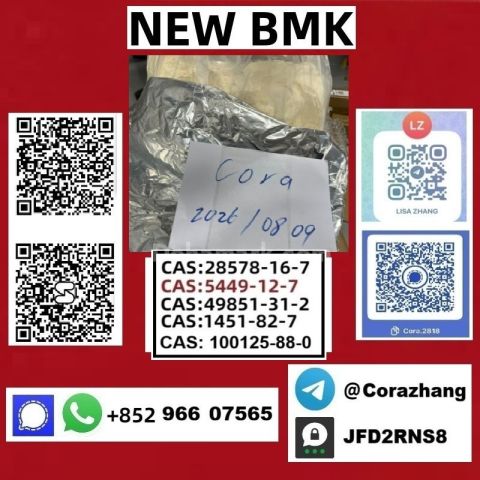 BMK powder cas5449-12-7 Glycidic Acid (sodium salt) stable supply
