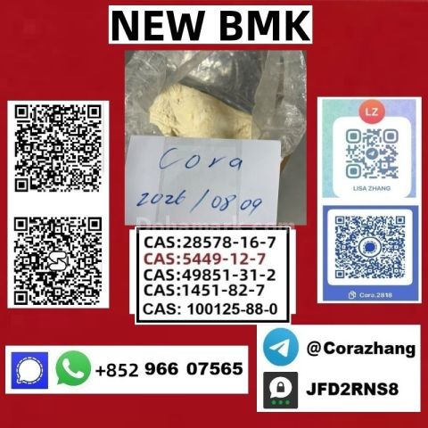 BMK powder cas 5449-12-7 Glycidic Acid sodium salt stable supply