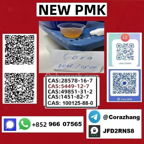 BMK powder cas 5449-12-7 Glycidic Acid sodium salt stable supply