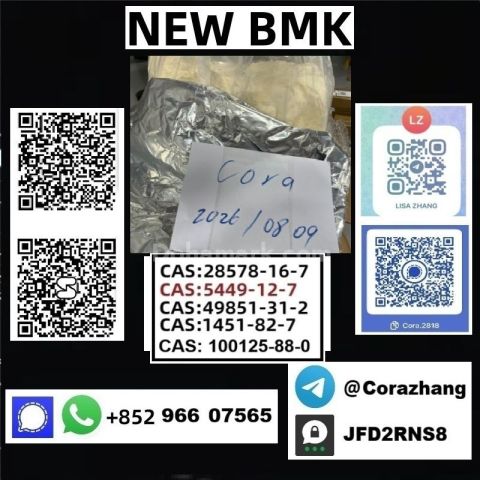 BMK powder cas 5449-12-7 Glycidic Acid sodium salt stable supply