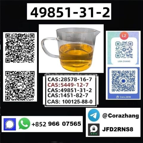 BMK powder cas 5449-12-7 Glycidic Acid sodium salt stable supply