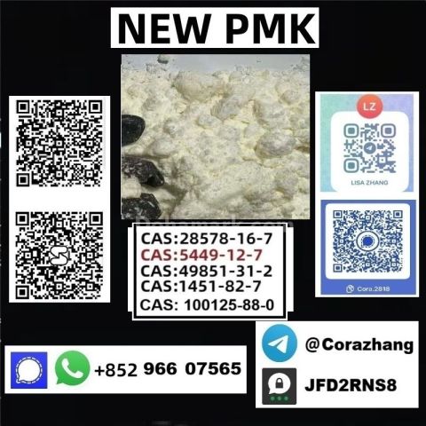 BMK powder cas 5449-12-7 Glycidic Acid sodium salt stable supply