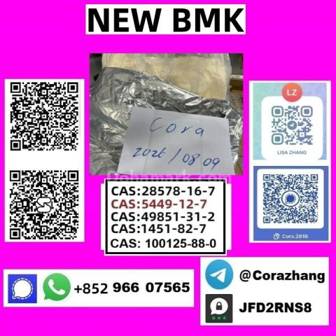 BMK powder cas 5449-12-7 Glycidic Acid sodium salt stable supply