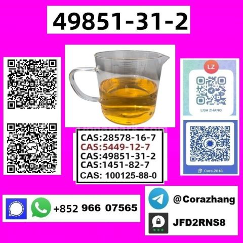 BMK powder cas 5449-12-7 Glycidic Acid sodium salt stable supply