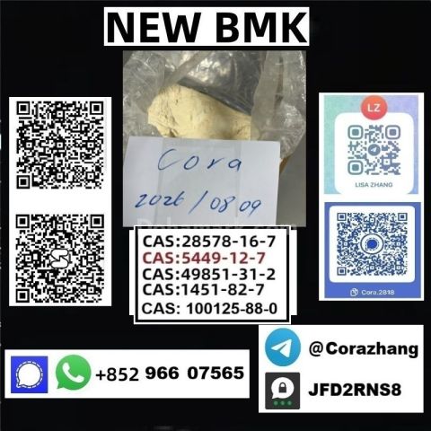BMK powder cas 5449-12-7 Glycidic Acid sodium salt stable supply