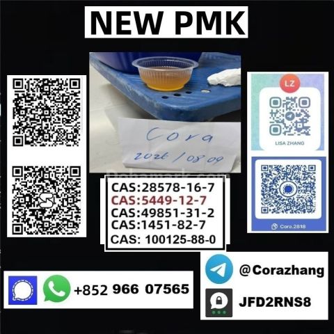 BMK powder cas 5449-12-7 Glycidic Acid sodium salt stable supply