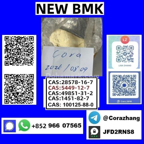 BMK powder Cas5449-12-7 Glycidic Acid sodium salt stable supply