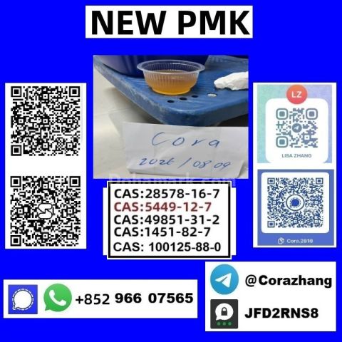 BMK powder Cas5449-12-7 Glycidic Acid sodium salt stable supply