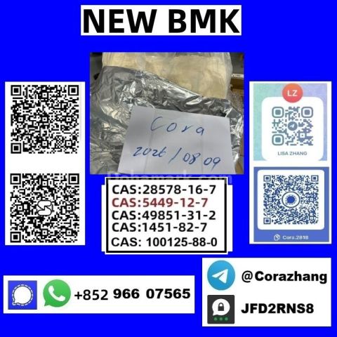 BMK powder Cas5449-12-7 Glycidic Acid sodium salt stable supply