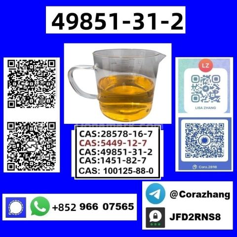 BMK powder Cas5449-12-7 Glycidic Acid sodium salt stable supply