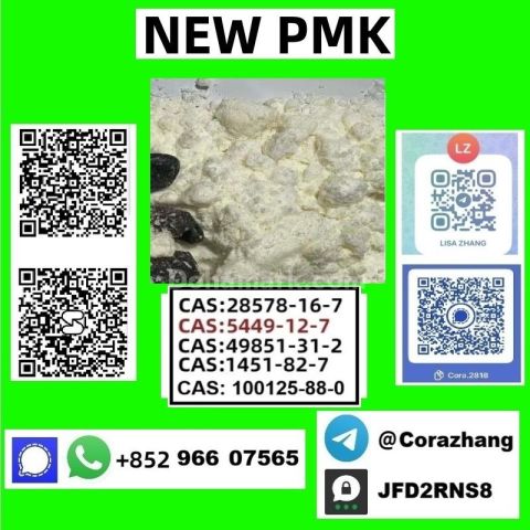 BMK powder Cas5449-12-7 Glycidic Acid sodium salt stable supply
