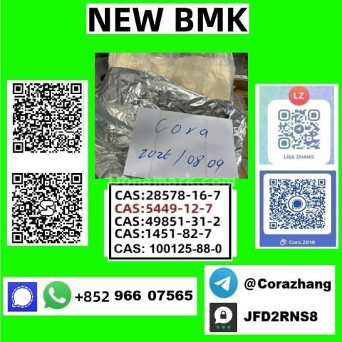 BMK powder Cas5449-12-7 Glycidic Acid sodium salt stable supply