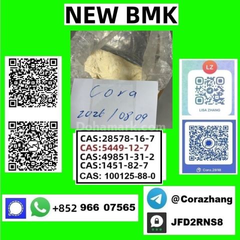 BMK powder Cas5449-12-7 Glycidic Acid sodium salt stable supply
