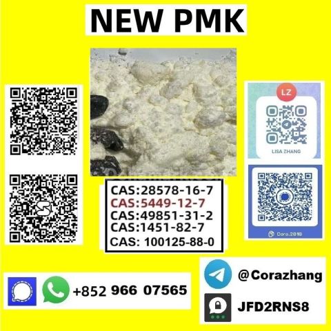 BMK powder Cas5449-12-7 Glycidic Acid sodium salt stable supply