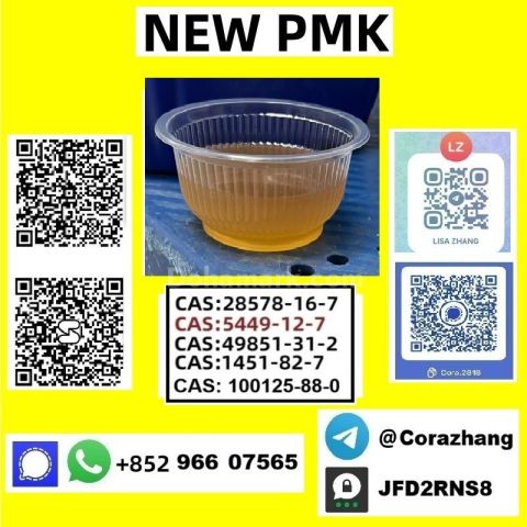 BMK powder Cas5449-12-7 Glycidic Acid sodium salt stable supply