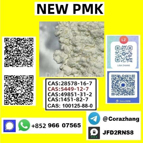 BMK powder Cas 5449-12-7 Glycidic Acid sodium salt stable supply
