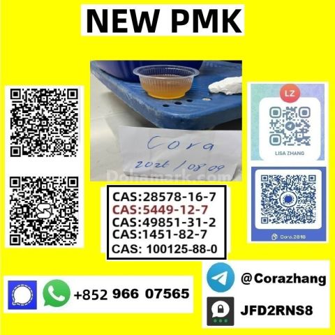 BMK powder Cas 5449-12-7 Glycidic Acid sodium salt stable supply