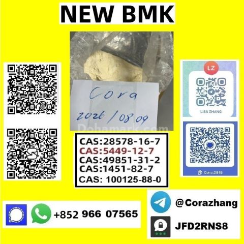 BMK powder Cas 5449-12-7 Glycidic Acid sodium salt stable supply