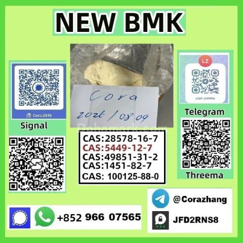 BMK powder Cas 5449-12-7 Glycidic Acid sodium salt stable supply