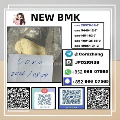 BMK powder Cas 5449-12-7 Glycidic Acid sodium salt stable supply