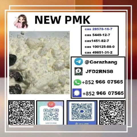 BMK powder Cas 5449-12-7 Glycidic Acid sodium salt stable supply