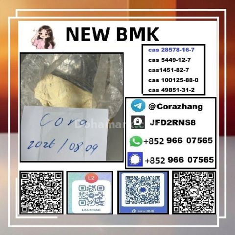 BMK powder Cas 5449-12-7 Glycidic Acid sodium salt stable supply