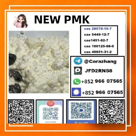 BMK powder Cas 5449-12-7 Glycidic Acid sodium salt stable supply