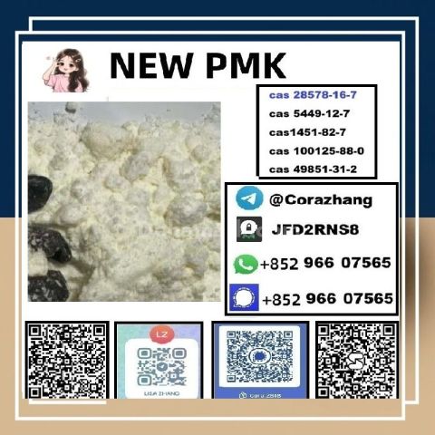 BMK powder CAS5449-12-7 Glycidic Acid sodium salt stable supply