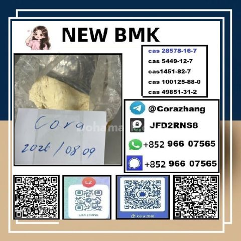 BMK powder CAS5449-12-7 Glycidic Acid sodium salt stable supply
