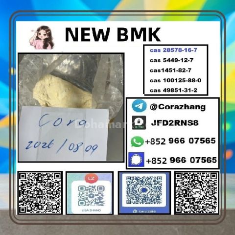 BMK powder CAS5449-12-7 Glycidic Acid sodium salt stable supply